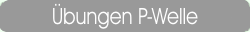 Übungen P-Welle
