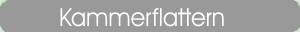 Kammerflattern